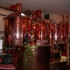 Nederlandse Brouwerijdagen