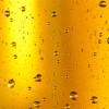 Nieuwe website